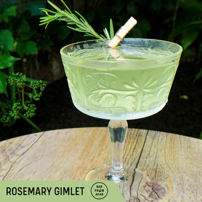 Rosemary Gimlet cocktail in glass with a rosemary garnish